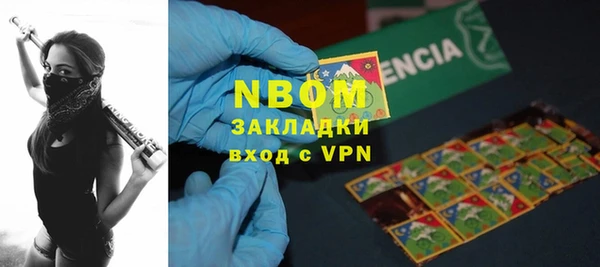 индика Пересвет