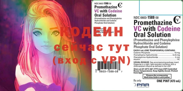 индика Армянск