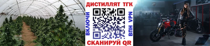 ТГК гашишное масло  Новоржев 