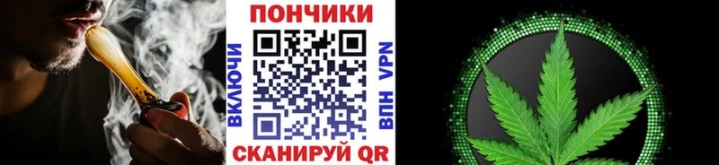 наркотики  Новоржев  Каннабис Amnesia 